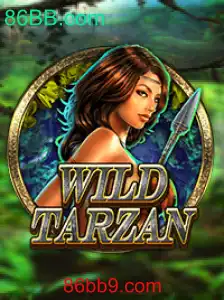 Explorando o Mundo de WildTarzan: Estruturas do Jogo e Regras Essenciais